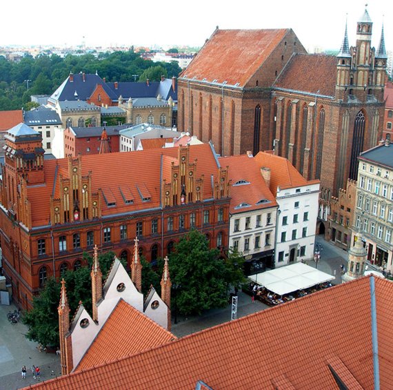 rynek toruń